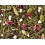 Green Magic Spice, Nr. 114