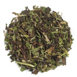 Menta (Peppermint), Nr.126